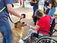 Therapy-Dogs-15