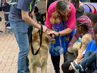 Therapy-Dogs-17