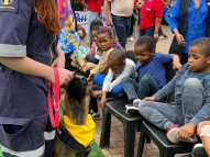 Therapy-Dogs-2