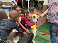 Therapy-Dogs-4