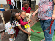 Therapy-Dogs-7