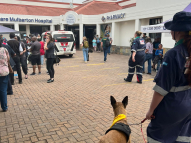 Therapy-Dogs-9