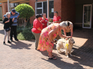 Therapy-Dog-Training-1
