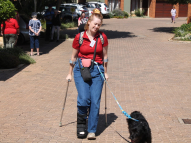 Therapy-Dog-Training-2