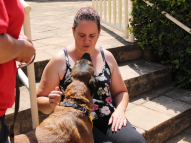 Therapy-Dog-Training-5