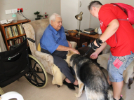 Therapy-Dog-Training-6