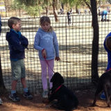 Dog Training for Children 3