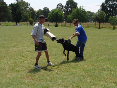 Protection Training