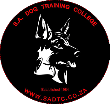 Dog Training