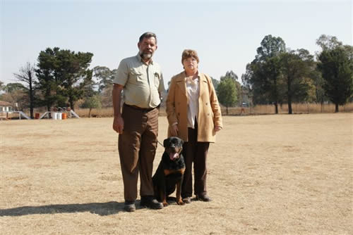 Male Rottweiler Obedience Training