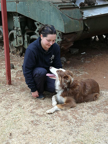 Dog Agility Training Germiston