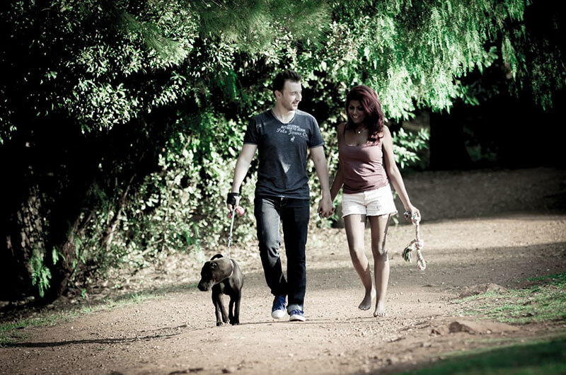 Dog Training Sandton